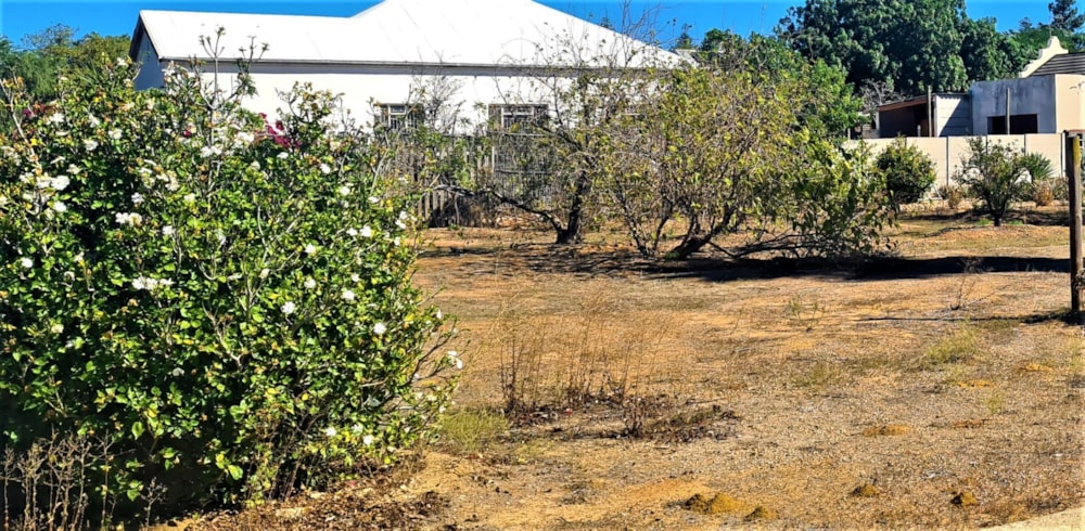 Vacant land for sale in Moorreesburg - 1MS1698833 Vacant land for sale in Moorreesburg - 1MS1698833