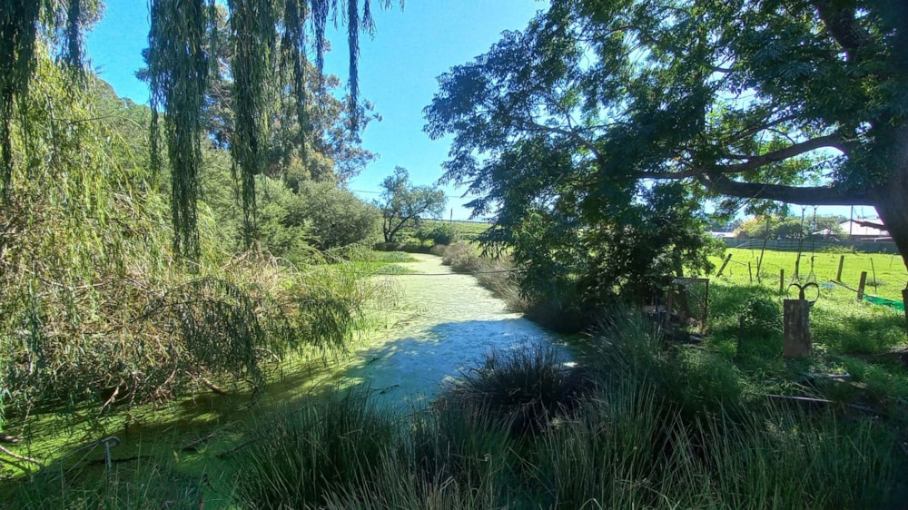 Mixed use farm for sale in Heidelberg, Garden Route - 1SR1698799