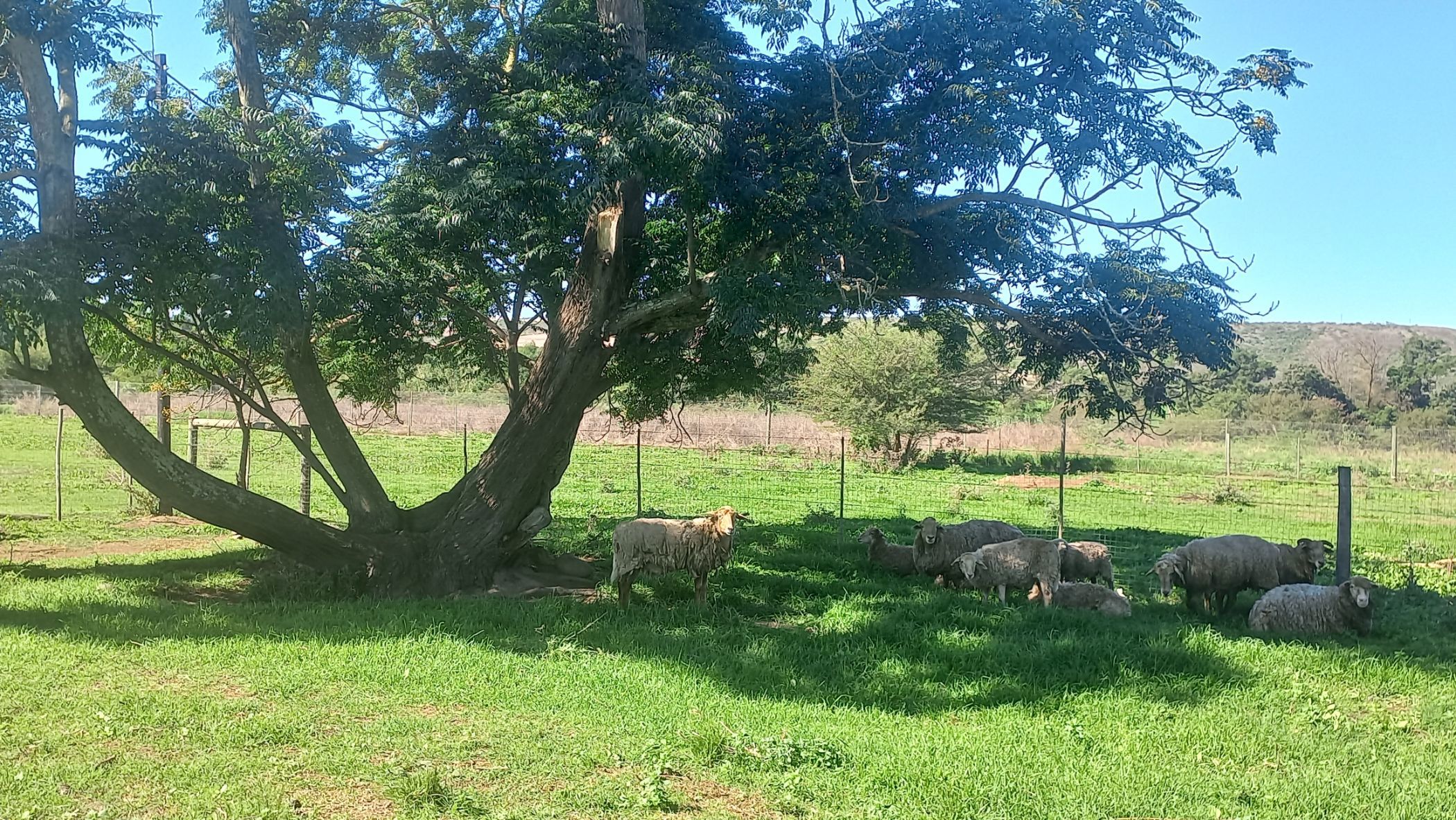 Mixed use farm for sale in Heidelberg, Garden Route - 1SR1698799