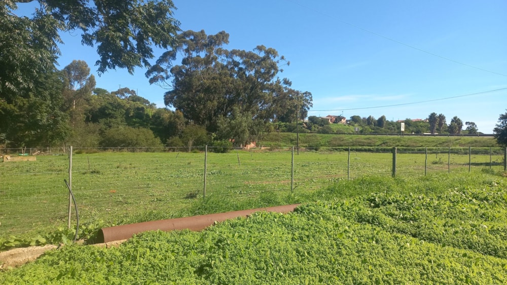 Mixed use farm for sale in Heidelberg, Garden Route - 1SR1698799