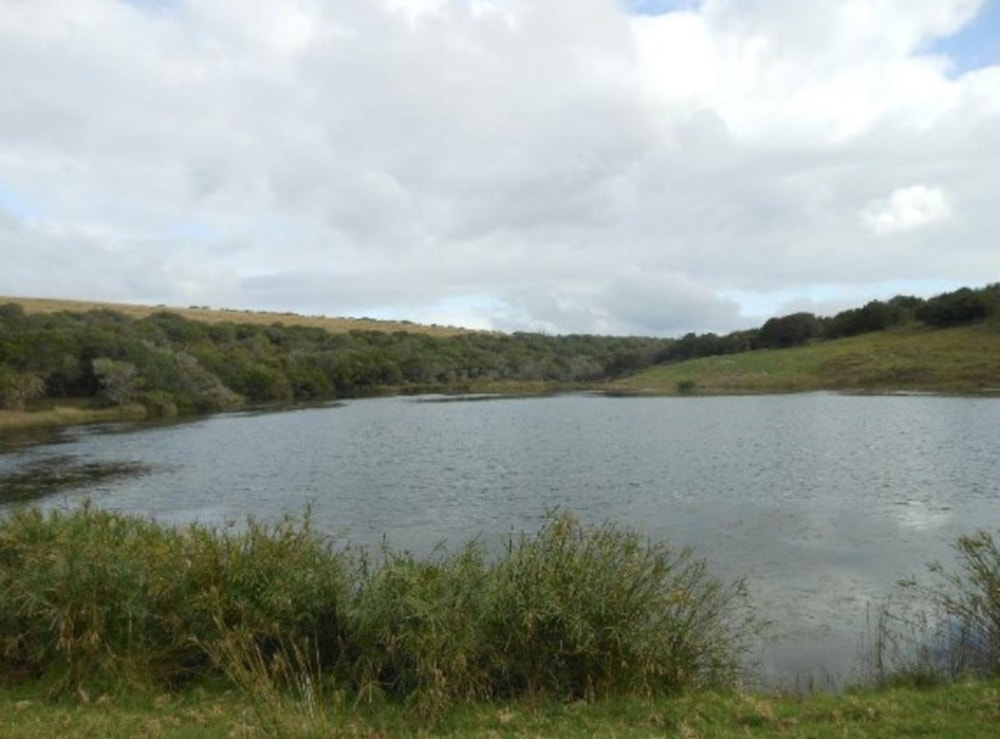 Game farm for sale in Grahamstown (Makhanda) - 1GC1693566