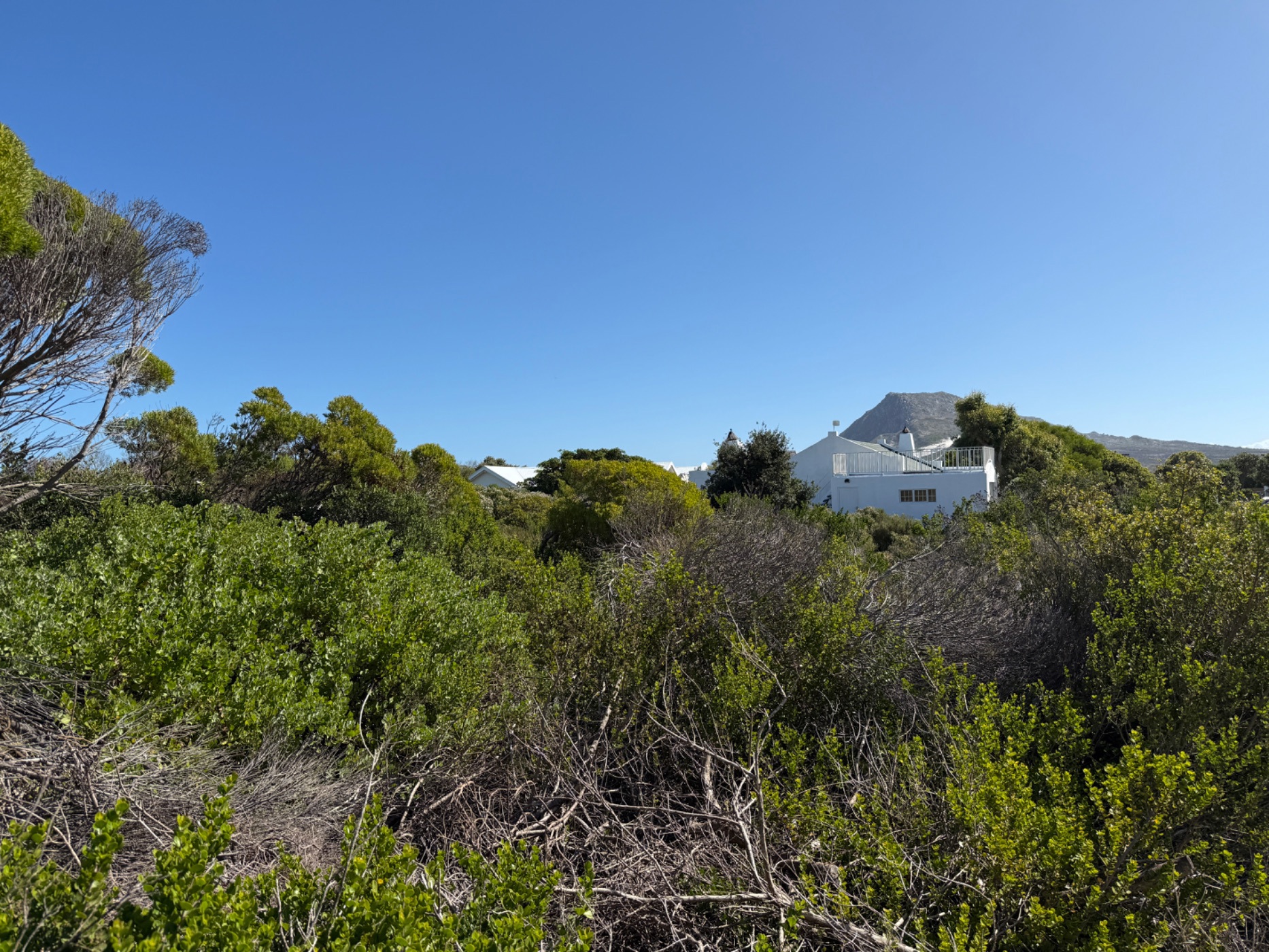 Vacant land for sale in Bettys Bay - KN1696252