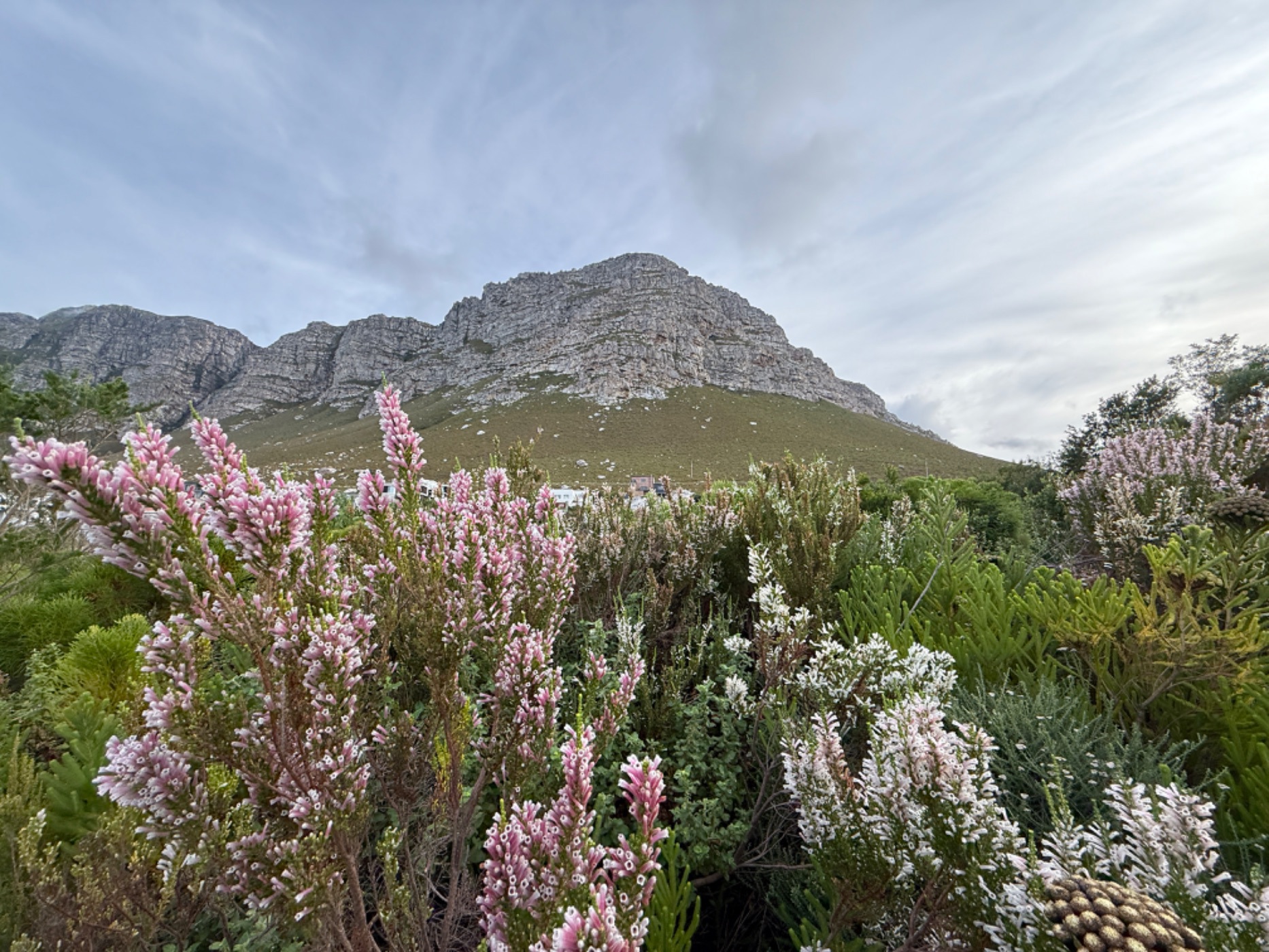 Vacant land for sale in Bettys Bay - KN1696749