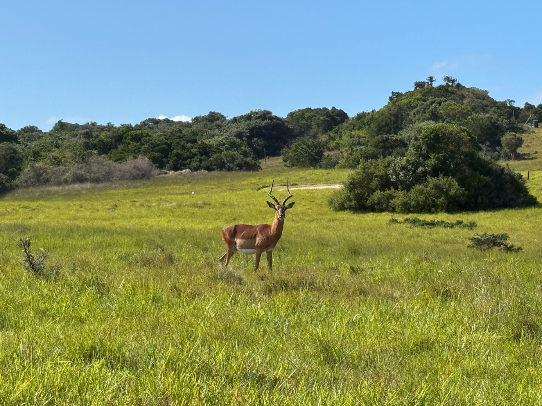 Vacant land for sale in Kenton Eco Estate - 1KO1592261