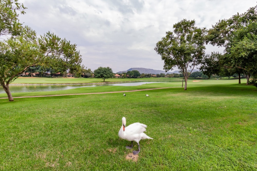 House for sale in Pecanwood - 1HR1697123 House for sale in Pecanwood - 1HR1697123