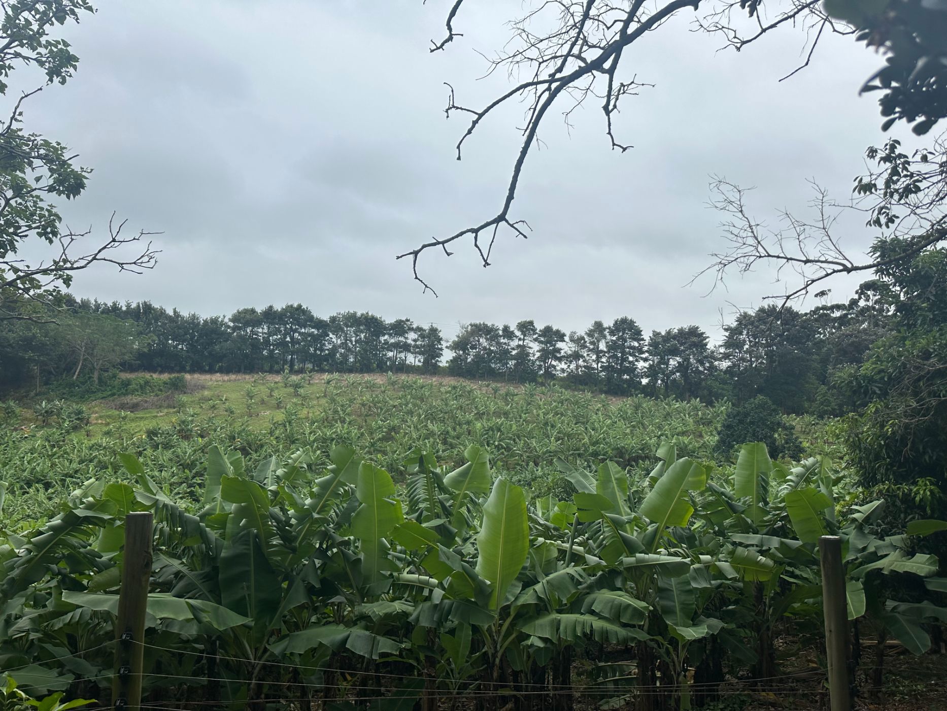 House for sale in Banners Rest - 1PD1697112