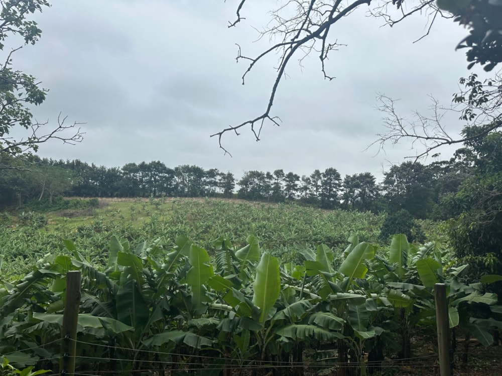 House for sale in Banners Rest - 1PD1697112 House for sale in Banners Rest - 1PD1697112