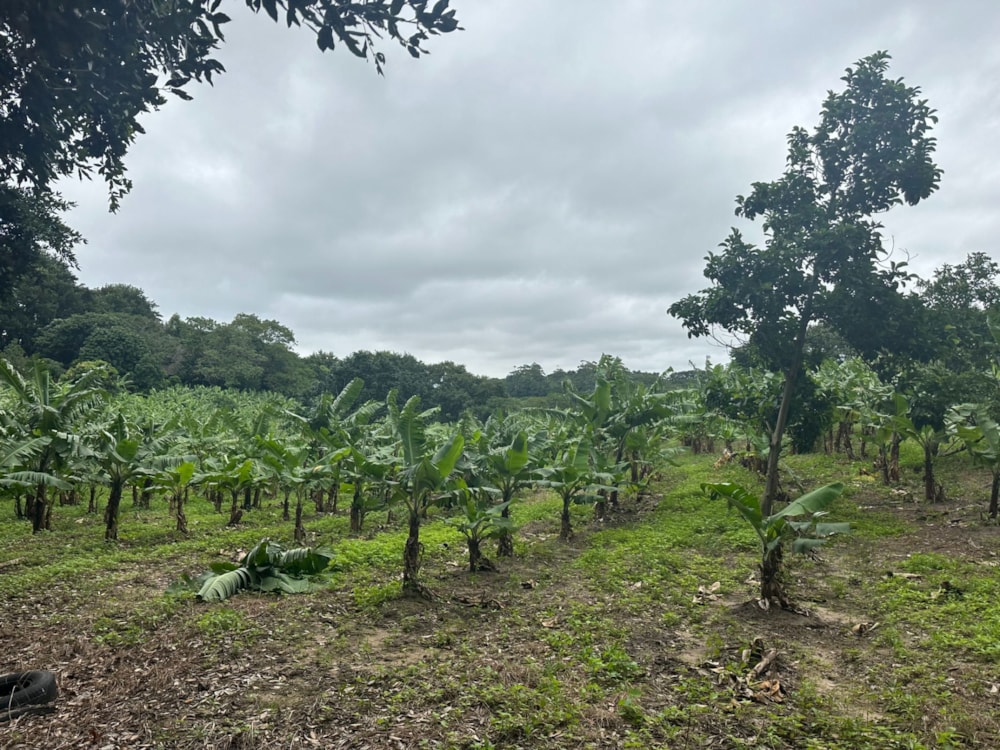 House for sale in Banners Rest - 1PD1697112 House for sale in Banners Rest - 1PD1697112