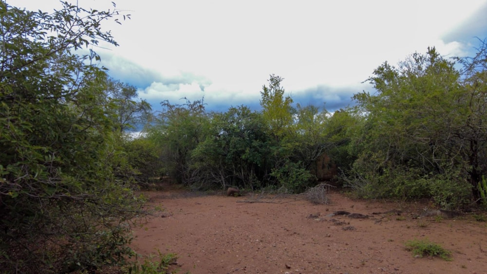 Vacant land for sale in Marloth Park - 1NK1699708