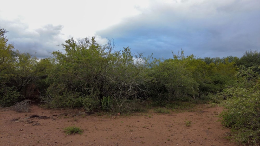 Vacant land for sale in Marloth Park - 1NK1699708