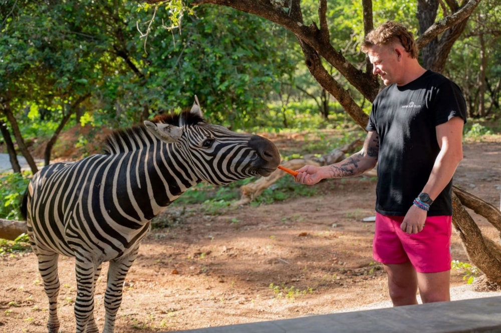 House to rent in Marloth Park - 1NK1702156 House to rent in Marloth Park - 1NK1702156