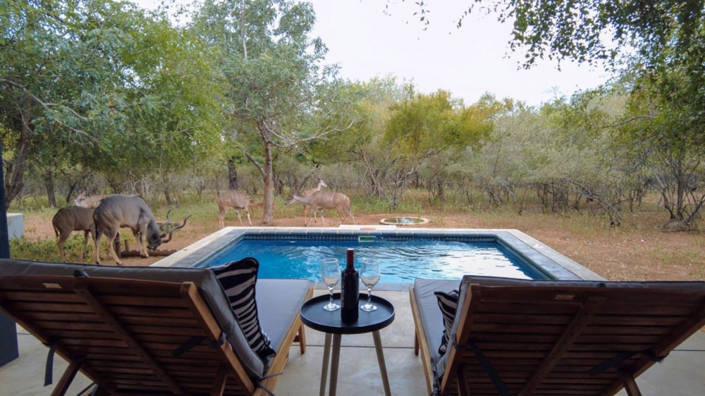 House sold in Marloth Park - 1NK1699348 House sold in Marloth Park - 1NK1699348