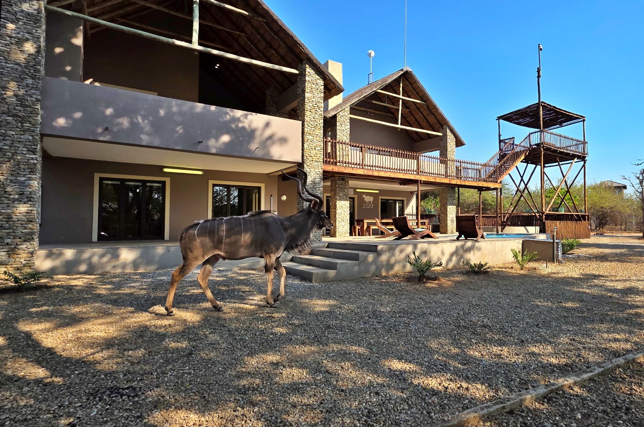 House to rent in Marloth Park - 1NK1702305