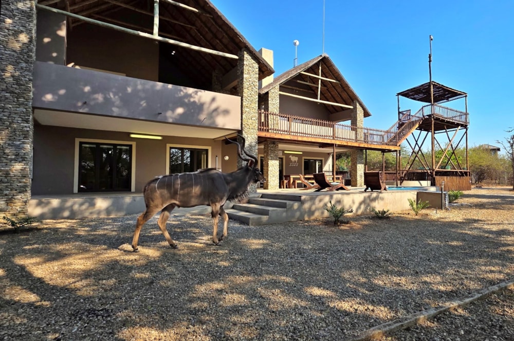 House to rent in Marloth Park - 1NK1702305 House to rent in Marloth Park - 1NK1702305