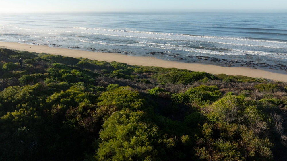 Residential vacant land for sale in Groot Brakrivier - 1MB1699833