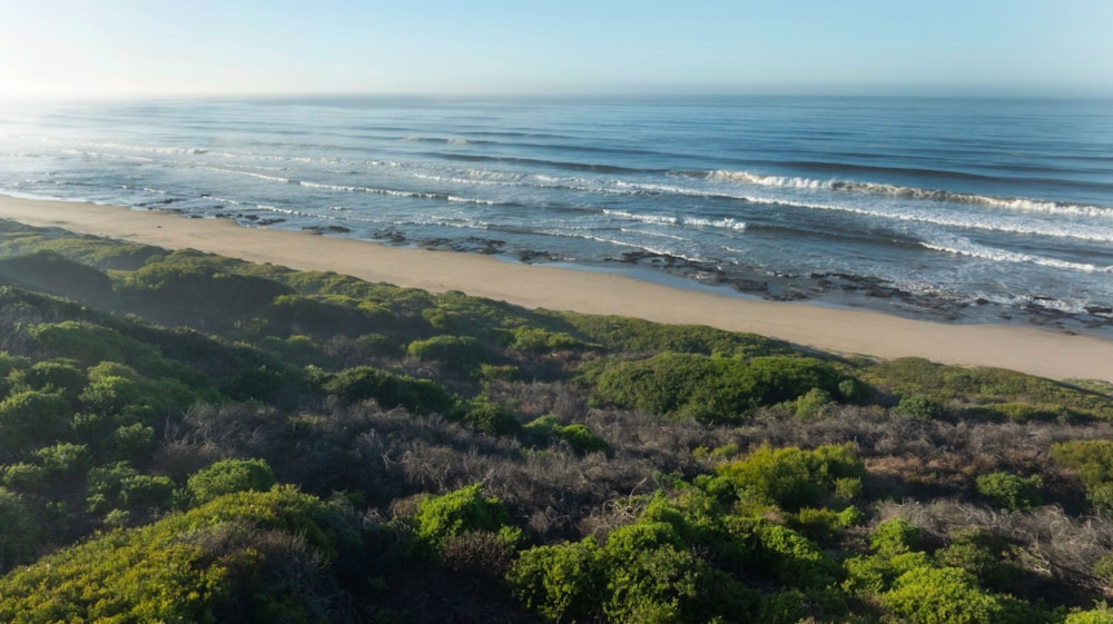 Residential vacant land for sale in Groot Brakrivier - 1MB1699833 Residential vacant land for sale in Groot Brakrivier - 1MB1699833