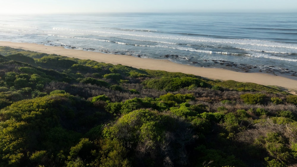 Residential vacant land for sale in Groot Brakrivier - 1MB1699833 Residential vacant land for sale in Groot Brakrivier - 1MB1699833