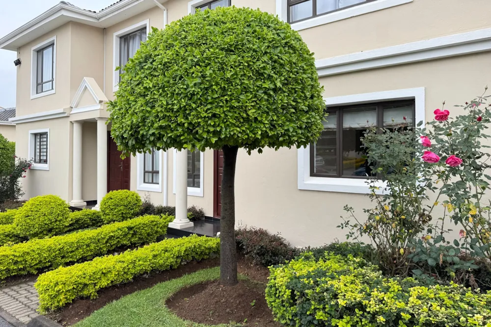 Apartment sold in Midrand - MR1700440 Apartment sold in Midrand - MR1700440