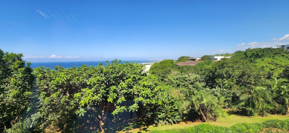 Commercial office to rent in La Lucia - 1ND1699273 Commercial office to rent in La Lucia - 1ND1699273