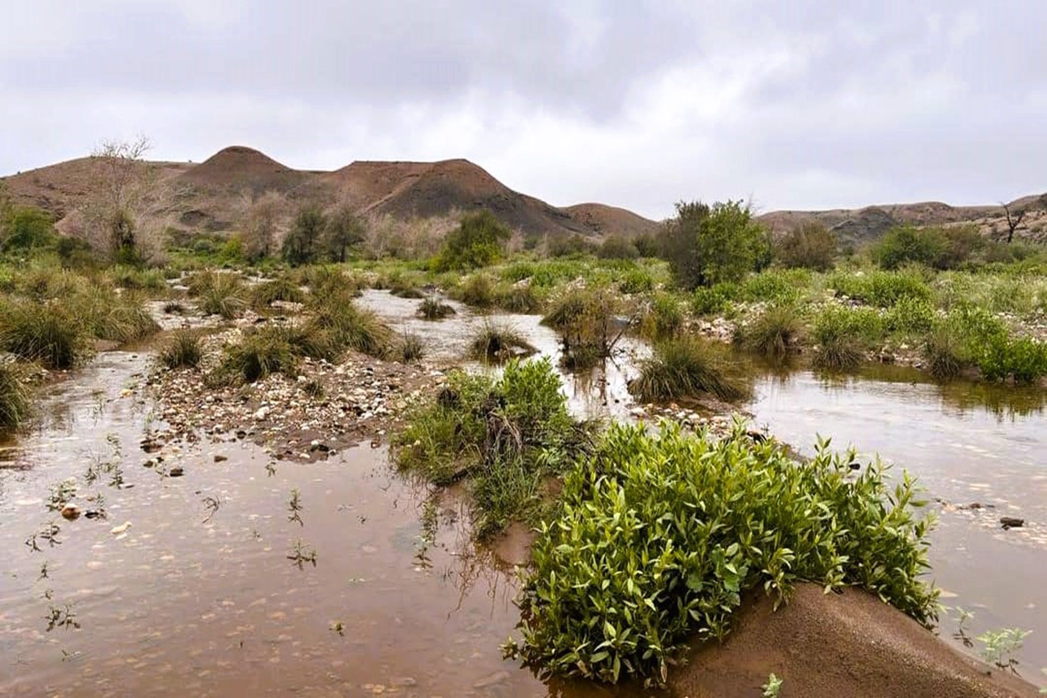 Farm vacant land for sale in Windhoek, Namibia - 3NM1691557