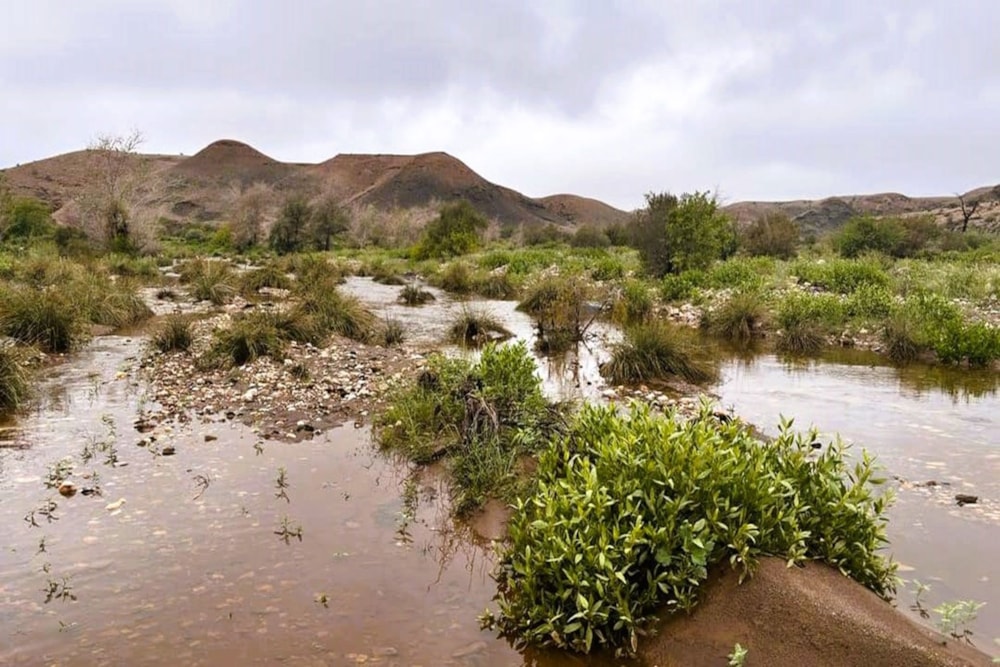 Farm vacant land for sale in Windhoek, Namibia - 3NM1691557