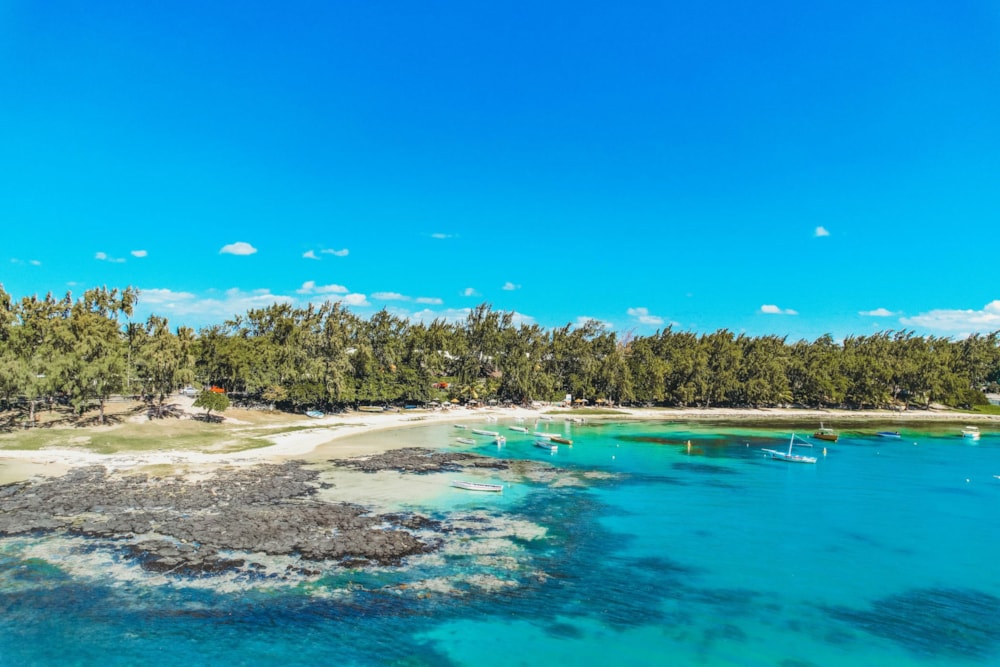 Apartment for sale in Bain Boeuf, Mauritius - MPR1645421