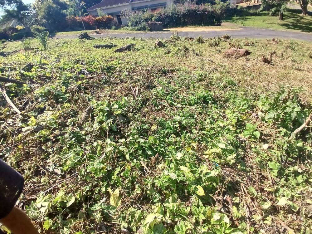 Vacant land for sale in Shelly Beach - 1PSH1699941