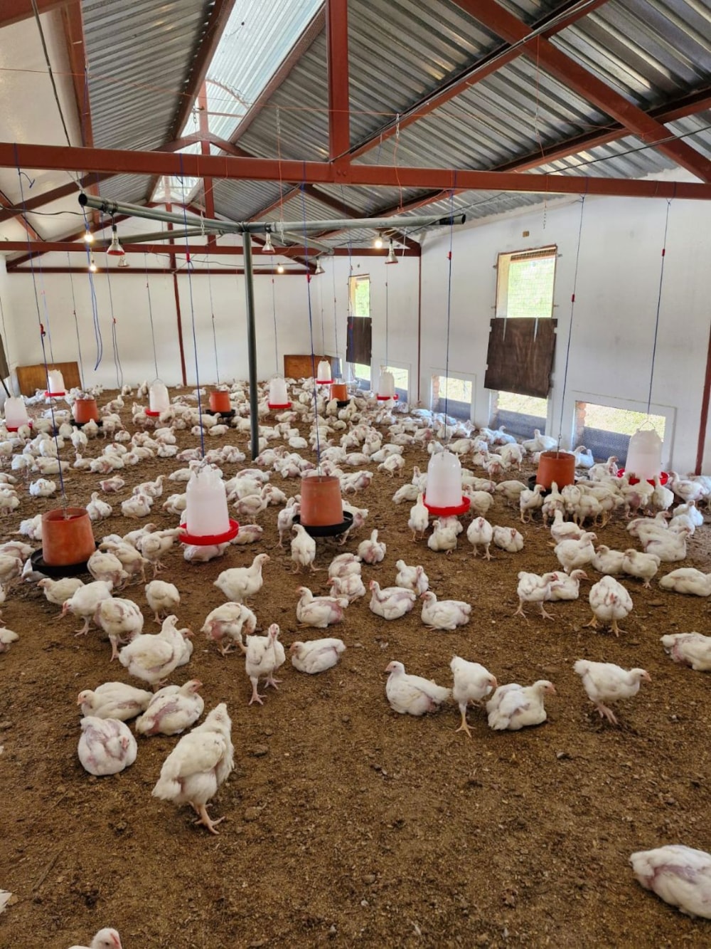 Nut farm for sale in Mbombela Rural (Nelspruit Rural) - 1NS1669987 Nut farm for sale in Mbombela Rural (Nelspruit Rural) - 1NS1669987