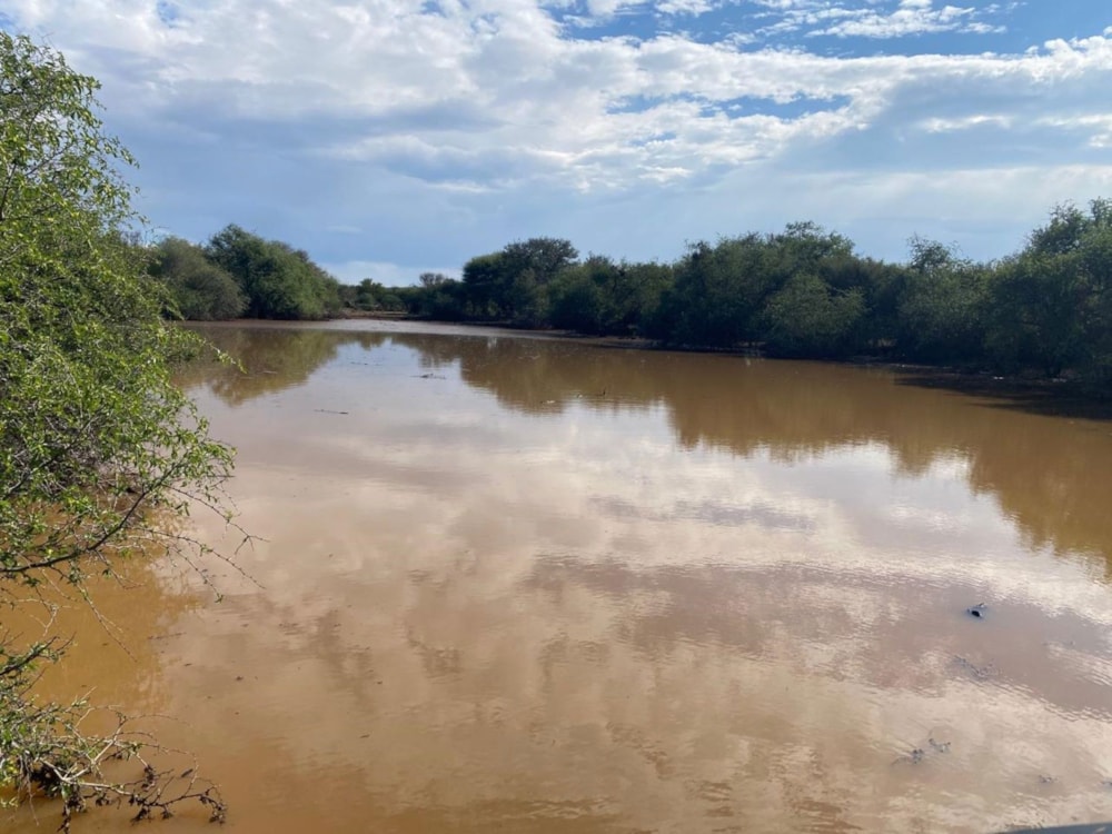 Livestock farm for sale in Douglas Rural - 1KJ1668173 Livestock farm for sale in Douglas Rural - 1KJ1668173