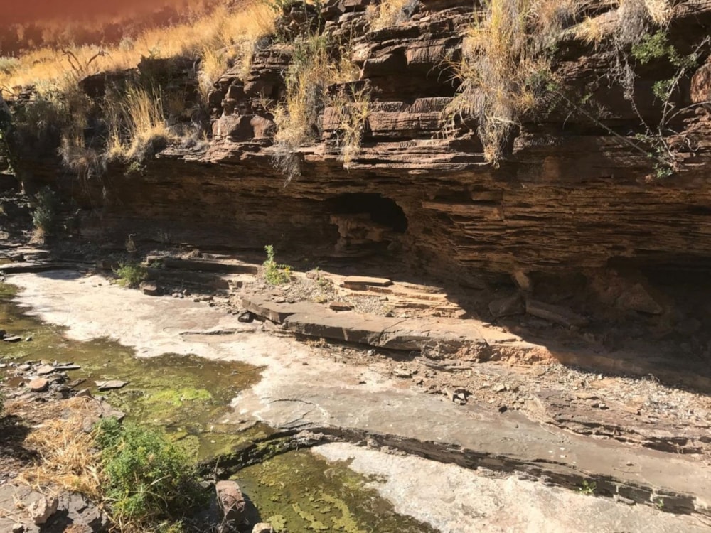 Livestock farm for sale in Douglas Rural - 1KJ1668173 Livestock farm for sale in Douglas Rural - 1KJ1668173