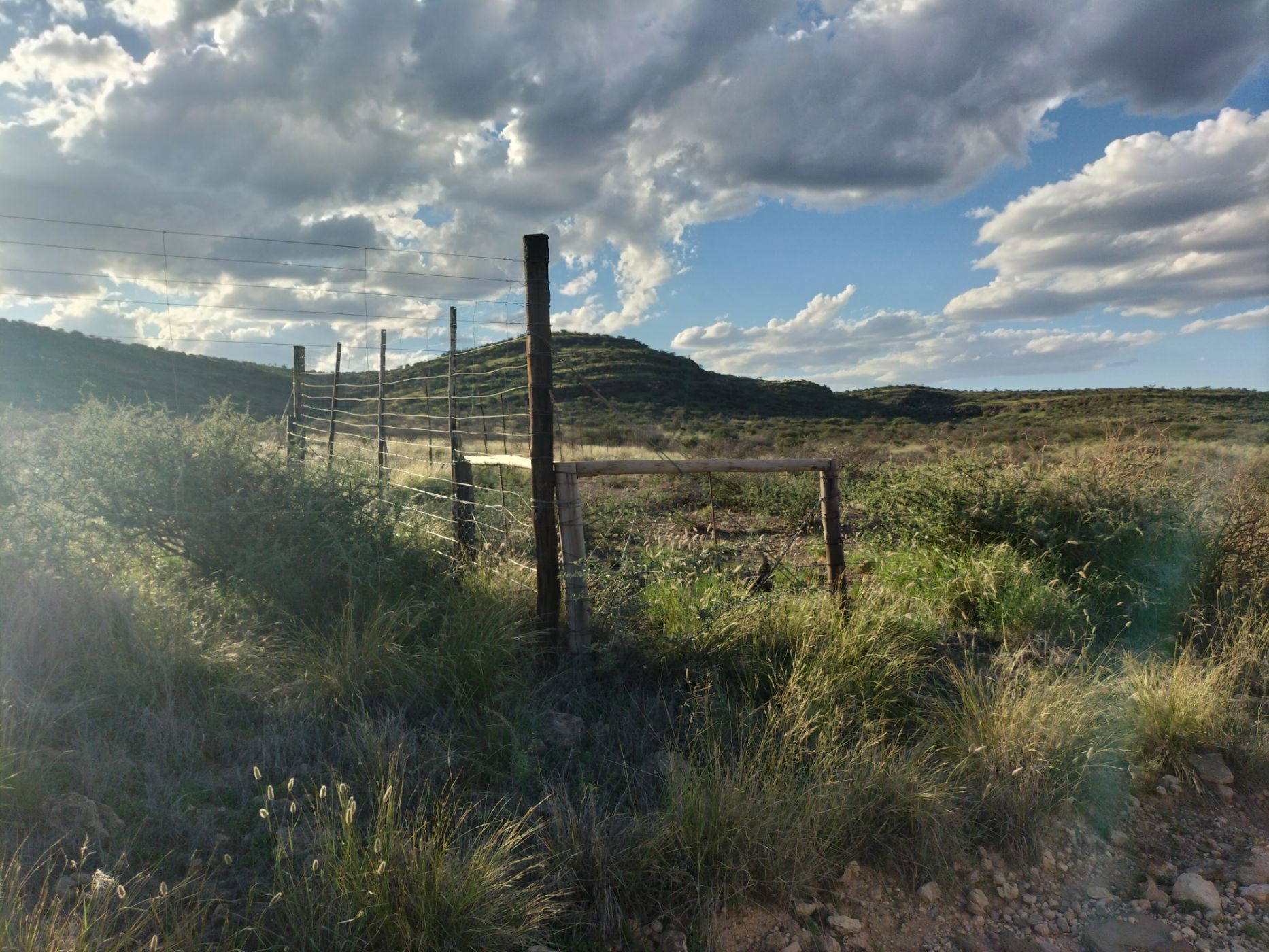 Livestock farm for sale in Douglas Rural - 1KJ1668173