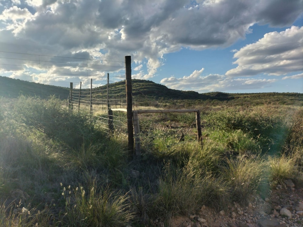 Livestock farm for sale in Douglas Rural - 1KJ1668173 Livestock farm for sale in Douglas Rural - 1KJ1668173