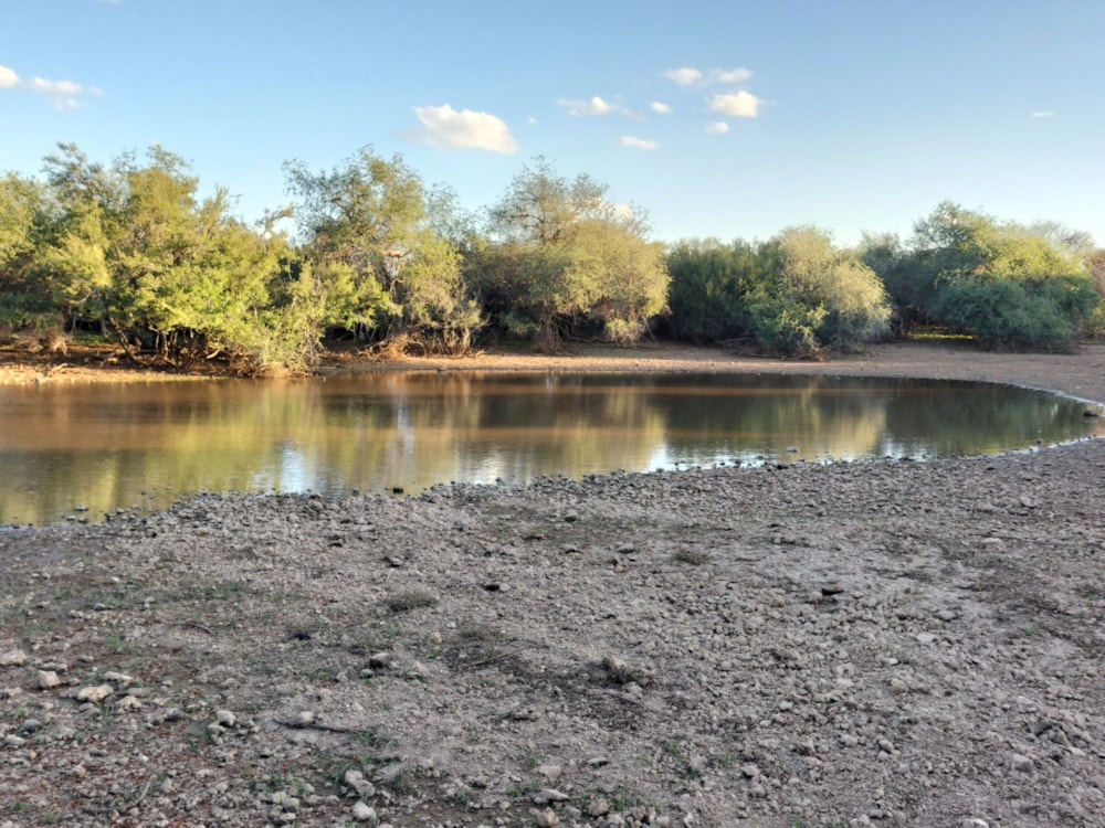 Livestock farm for sale in Douglas Rural - 1KJ1668173 Livestock farm for sale in Douglas Rural - 1KJ1668173