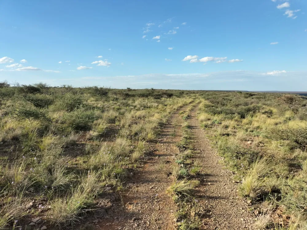 Livestock farm for sale in Douglas Rural - 1KJ1668173