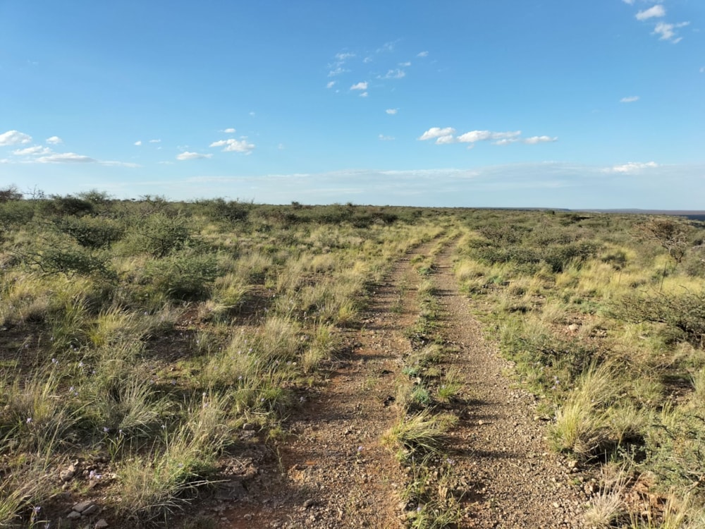 Livestock farm for sale in Douglas Rural - 1KJ1668173 Livestock farm for sale in Douglas Rural - 1KJ1668173