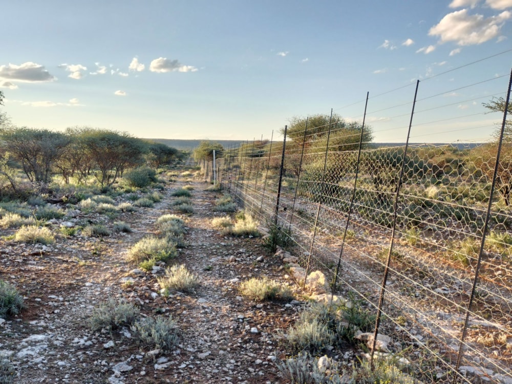Livestock farm for sale in Douglas Rural - 1KJ1668173 Livestock farm for sale in Douglas Rural - 1KJ1668173