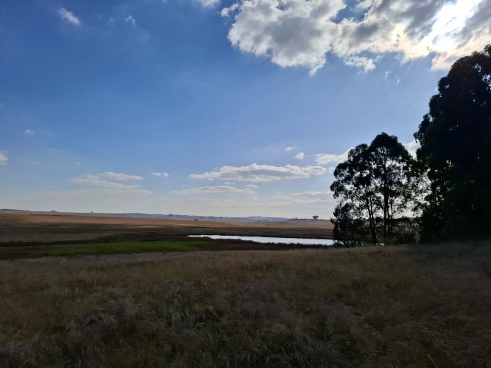 Mixed use farm for sale in Dullstroom - 1DS1701483 Mixed use farm for sale in Dullstroom - 1DS1701483