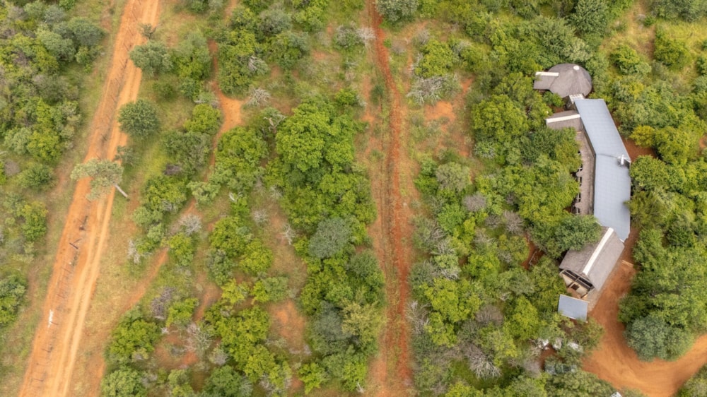 House for sale in Hoedspruit Wildlife Estate - 1HS1701635