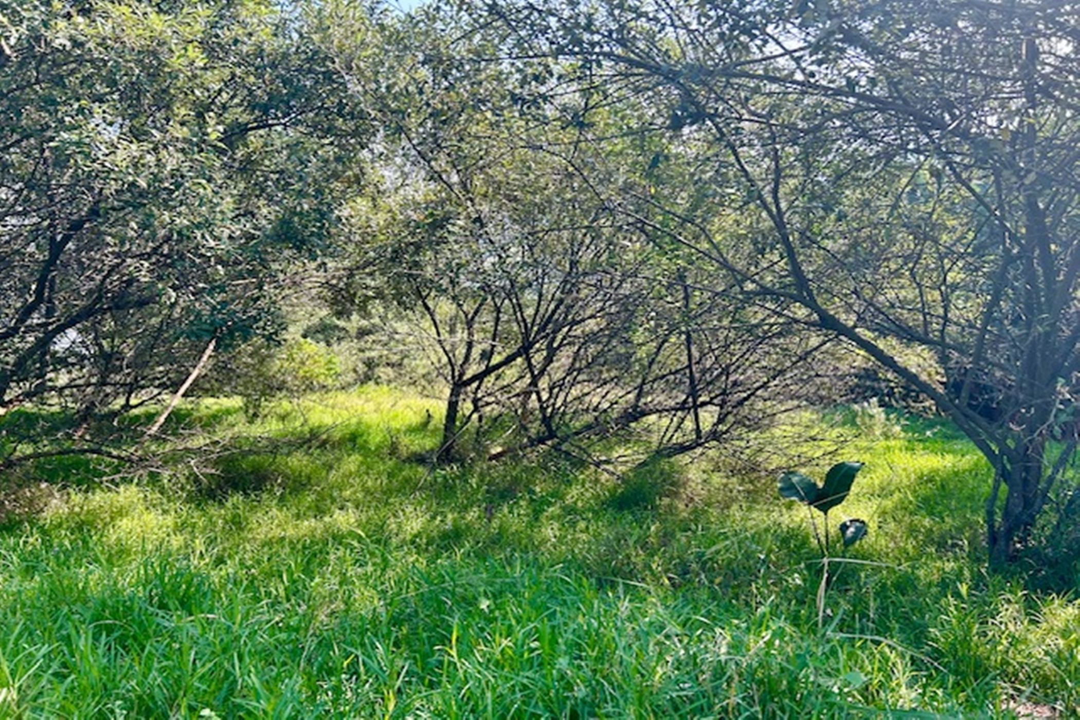 Residential vacant land for sale in Simbithi Eco Estate - 1BD1701314