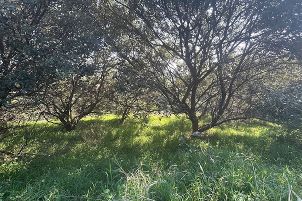 Residential vacant land for sale in Simbithi Eco Estate - 1BD1701314