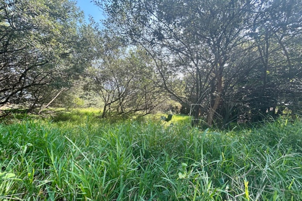 Residential vacant land for sale in Simbithi Eco Estate - 1BD1701314