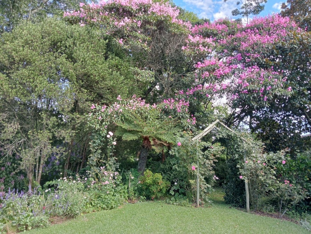 House sold in Hilton, KwaZulu-Natal - 1PM1699179 House sold in Hilton, KwaZulu-Natal - 1PM1699179