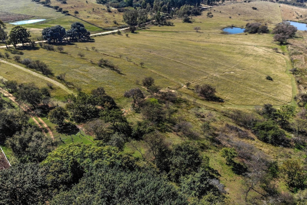 Lifestyle property for sale in Muldersdrift - 1KR1703676 Lifestyle property for sale in Muldersdrift - 1KR1703676