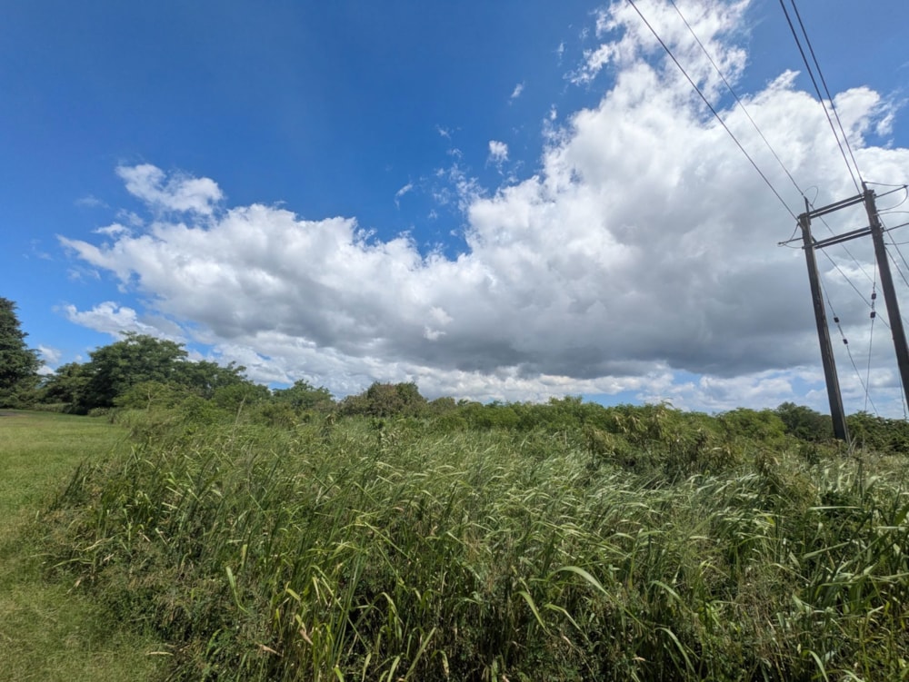 Vacant land for sale in Pamplemousses, Mauritius - MPR1694107