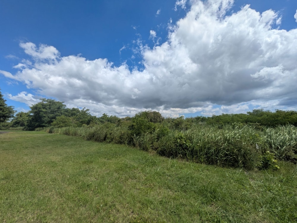 Vacant land for sale in Pamplemousses, Mauritius - MPR1694107