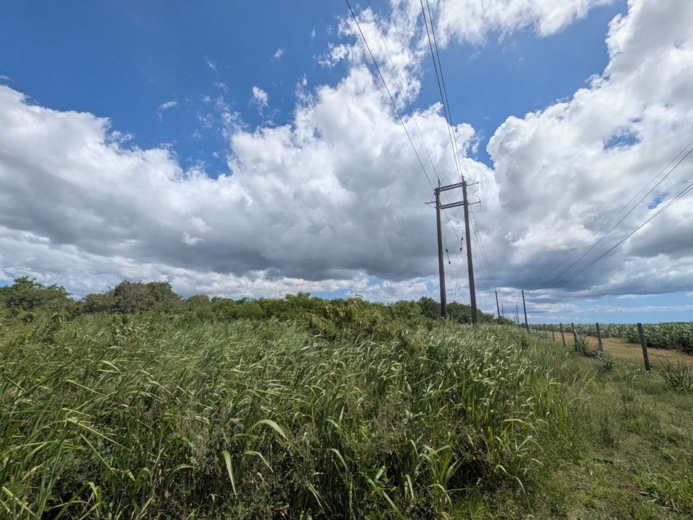 Vacant land for sale in Pamplemousses, Mauritius - MPR1694107