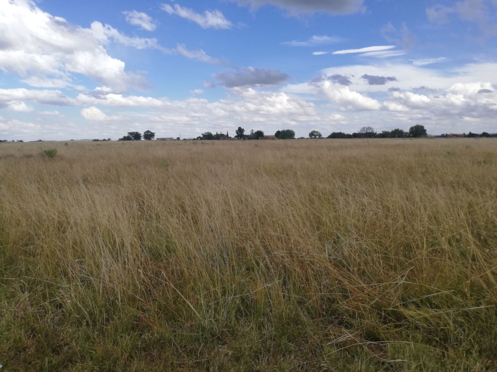 Farm vacant land for sale in Vanderwesthuizenhoogte - 1VT1695147