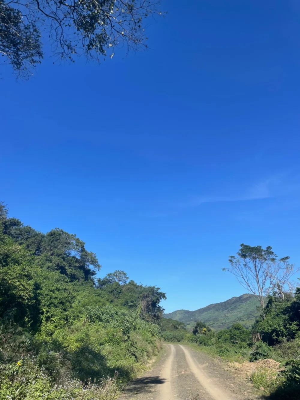 Vacant land for sale in Port St John's - 1KK1700942 Vacant land for sale in Port St John's - 1KK1700942