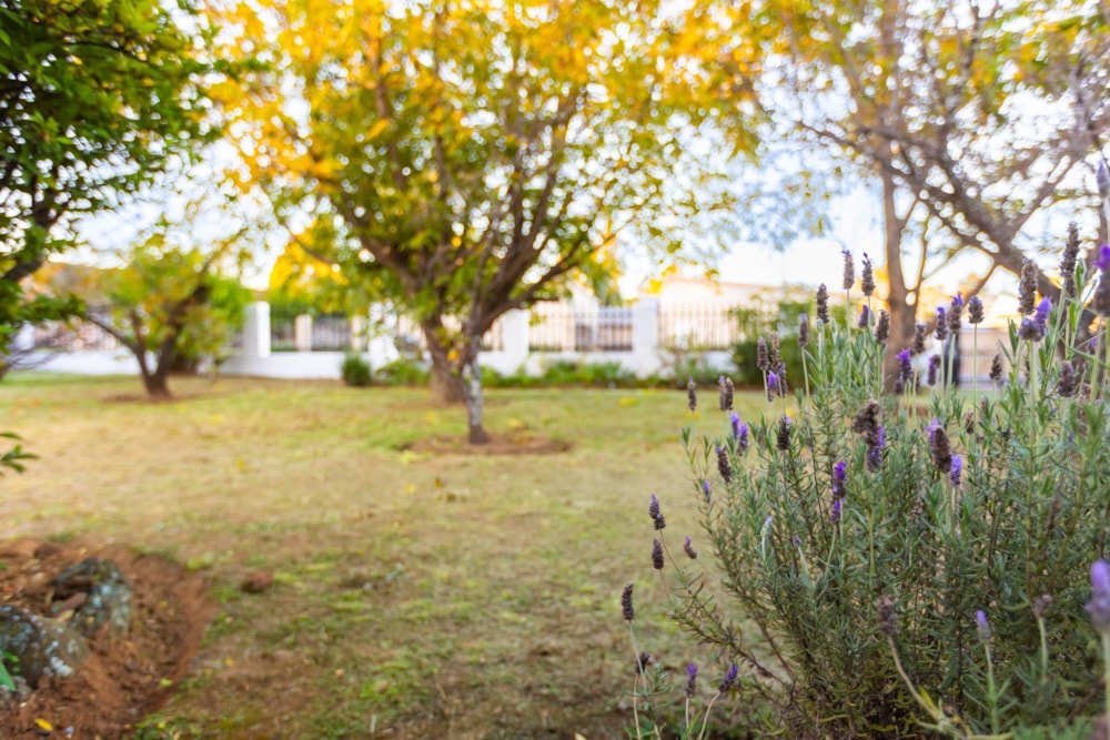 House sold in Pioneer Park - 1NW1700608 House sold in Pioneer Park - 1NW1700608