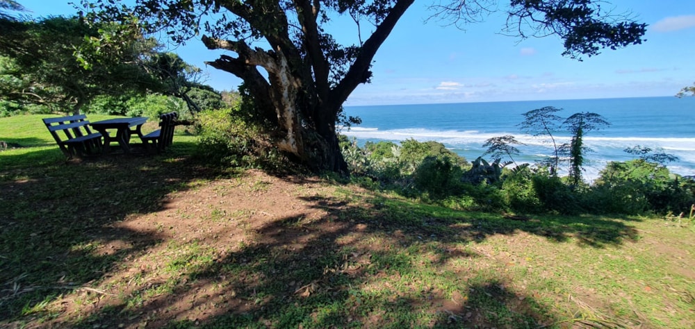 Residential vacant land for sale in Port Edward - 1PD1699196